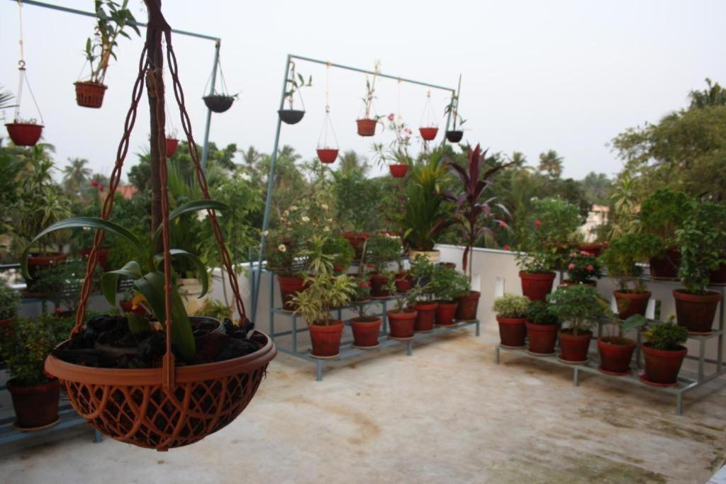 Aaron'S Homestay Kochi Exteriör bild